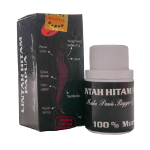 lintah oil hitam papua